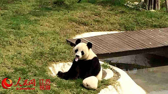 ？一起来看看如何正确使用眼霜OG真人游戏有了黑眼圈怎么办(图1)