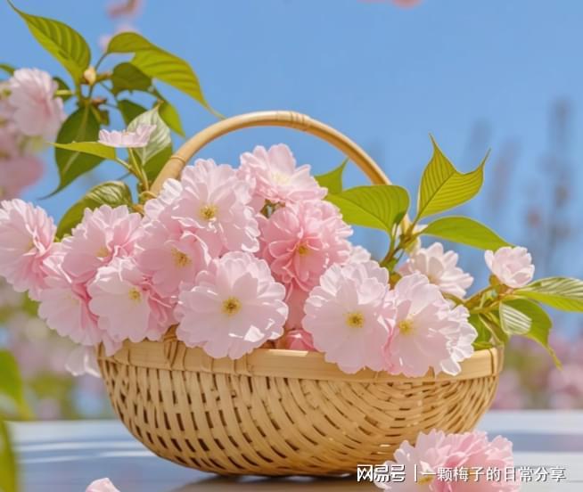 有早点发现这十款！简直太好用了！OG真人护手霜哪个牌子好？后悔没(图10)